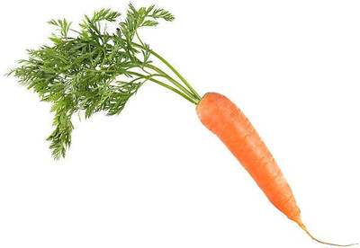 Corofitam Carrot Seed(35 per packet)