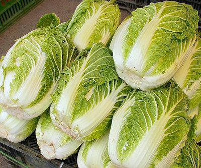 Corofitam Cabbage Seed(25 per packet)
