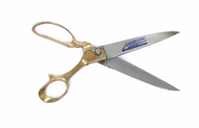 ASI HARD IRON Scissors(Set of 1, GOLDEN)