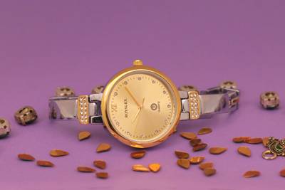 Royal Ex Silver Golden Classic and Stylish Women s Quartz