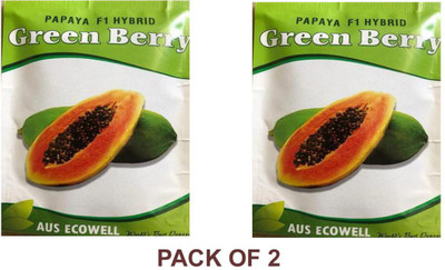 jbm GREEN BERRY HYBRID PAPAYA Seed(300 per packet)