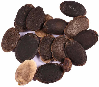 VibeX Sponge Gourd Seed(75 per packet)