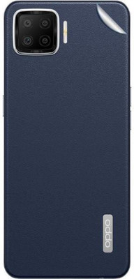 DMJHP Back Screen Guard for Oppo F17(Pack of 1)