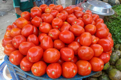 sporos F1 Hybrid Tomato Seed(30 per packet)