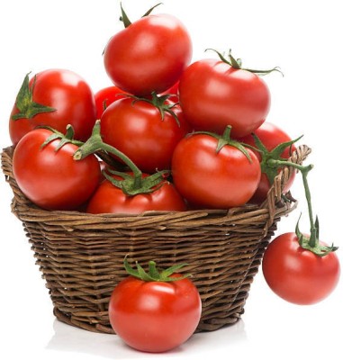 VRAKSHA Red Tomato High Quality Seed(1500 per packet)