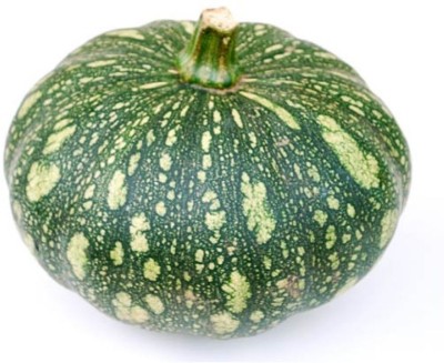 LYRS Arka SuryamukhiPumpkin / Kaddu Seed- 300 Seed(300 per packet)