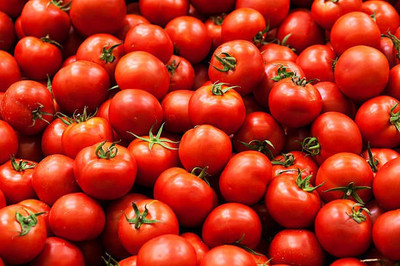 sporos F1 Hybrid Tomato Seed(55 per packet)
