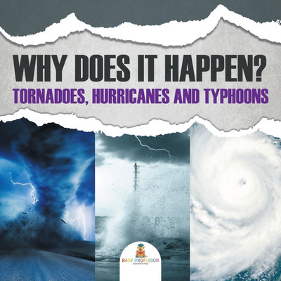 Why Does It Happen(English, Paperback, Baby Professor)