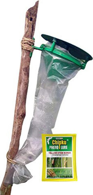 Chipku Pheromone Trap Funnel with Scriptophaga incertulas for Catch Insect/Moth Yellow Rice stem Borer (YSB) (Scriptophaga incertulas)(5 x 1 Units)