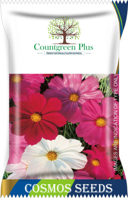 Countgreen Plus Cosmos Flower Seeds Seed(100 per packet)
