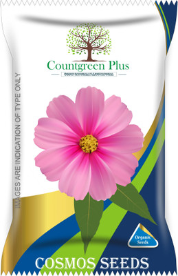 Countgreen Plus Cosmos Flower Seeds Seed(200 per packet)