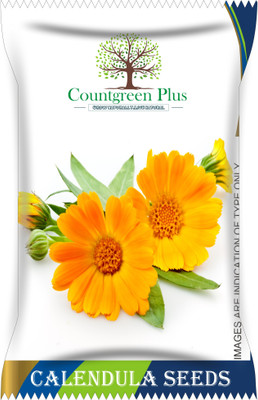 Countgreen Plus Calendula Flower Seeds Seed(200 per packet)