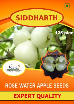 SIDDHARTH FISH FARM GREEN ROSE WATER APPLE Seed(125 per packet)