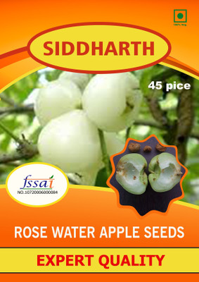SIDDHARTH FISH FARM GREEN ROSE WATER APPLE Seed(45 per packet)