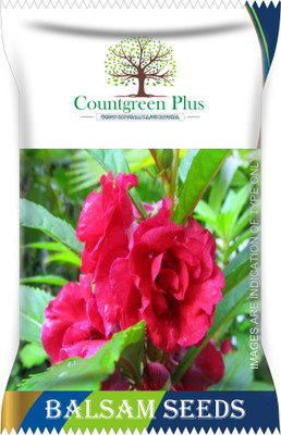 Countgreen Plus Balsam Flower Seeds Seed(200 per packet)