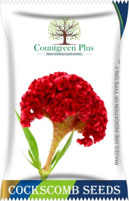 Countgreen Plus Cockscomb (Celosia) Flower Seeds Seed(200 per packet)