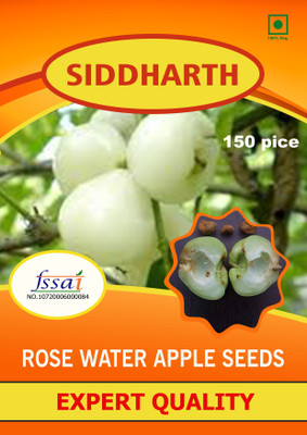 SIDDHARTH FISH FARM GREEN ROSE WATER APPLE Seed(150 per packet)