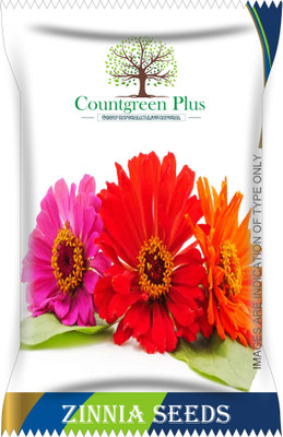 Countgreen Plus Zinnia Flower Seeds Seed(100 per packet)
