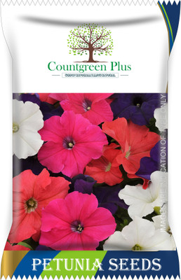 Countgreen Plus Petunia Flower Seeds Seed(100 per packet)