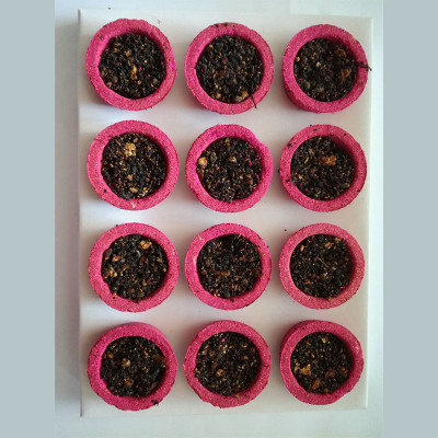 Poojan Samagri Sambrani Rose Loban Cup - Pack of 12 Rose Dhoop