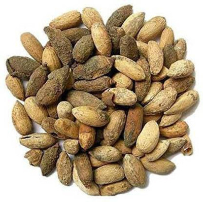 Ganpati Neem Seeds Seed(100 per packet)