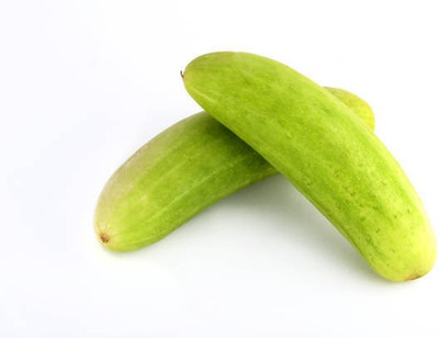 Platone Cucumber Seed(15 per packet)