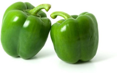 Splorias Green Capsicum (Simla Mirchi) Seed(50 per packet)