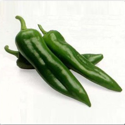 Airex F1 HYBRID CHILLI VASUDHA SEED (PACK OF 30 SEED X 10 PER PKTS) 10 PACKET OF F1 HYBRID CHILLI VASUDHA Seed(300 per packet)