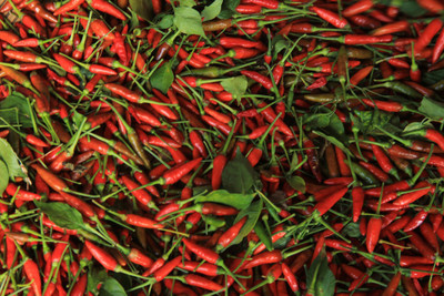 Airex LONGI CHILLI SPECIAL SEED (PACK OF 30 SEED X 10 PER PKTS) 10 PACKET OF LONGI CHILLI SPECIAL Seed(300 per packet)
