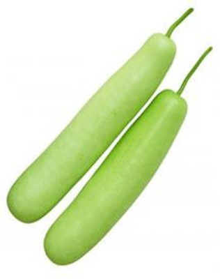 Antier BOTTLE GOURD GTK-2 SEEDS (PACK OF 50 SEEDS X 4 PACKET) Seed(200 per packet)