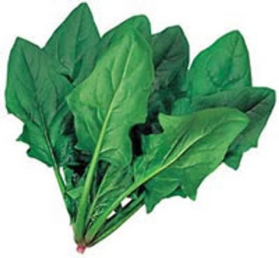 Airex PALAK AGRI HRT SEEDS (PACK OF 50 SEEDS X 8 PACKET) Seed(400 per packet)