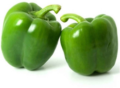 Airex CAPSICUM ANDHARI - 115 SEED (PACK OF 30 SEED X 8 PER PKTS) 8 PACKET OF CAPSICUM ANDHARI - 115 Seed(240 per packet)