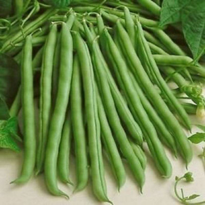 Airex POLE BEANS SANCHI SEED (PACK OF 30 SEED X 8 PER PKTS) 8 PACKET OF POLE BEANS SANCHI Seed(240 per packet)