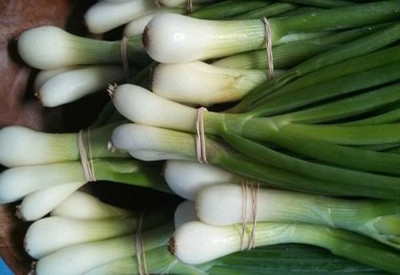 Airex SPRING CUT BUNCHING ONION SEED (PACK OF 30 SEED X 10 PER PKTS) 10 PACKET OF SPRING CUT BUNCHING ONION Seed(300 per packet)