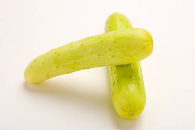 Corofitam Cucumber Seed(50 per packet)