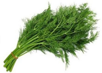 Airex SOYA SAAG SEEDS (PACK OF 50 SEEDS X 6 PACKET) Seed(300 per packet)