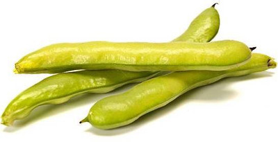 The Entacloo Cluster Bean Seed(25 per packet)