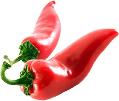 Airex RED CHILLI HOT PEPPER SAMPURNA SEED (PACK OF 30 SEED X 1 PER PKTS) 1 PACKET OF RED CHILLI HOT PEPPER SAMPURNA Seed(30 per packet)