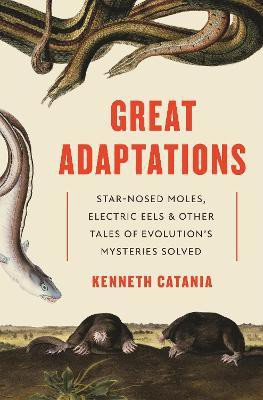 Great Adaptations(English, Paperback, Catania Kenneth)