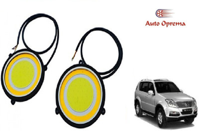 Auto Oprema LED Fog Lamp Unit for SsangYong Rexton