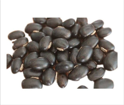 TAMRANSH Kaunch Kala - Mucuna Pruriens - Black Kaunch Seeds | Cowhage Seed (400 per packet) Seed(400 per packet)