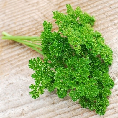Airex GREEN PARSLEY FOREST SEED (PACK OF 30 SEED X 2 PER PKTS) 2 PACKET OF GREEN PARSLEY FOREST Seed(60 per packet)