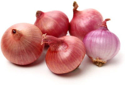 Splorias Red Onion Seed(55 per packet)