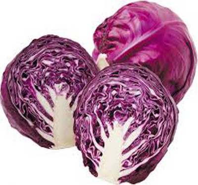 Airex RED CABBAGE SEED (PACK OF 30 SEED X 1 PER PKTS) 1 PACKET OF RED CABBAGE Seed(30 per packet)