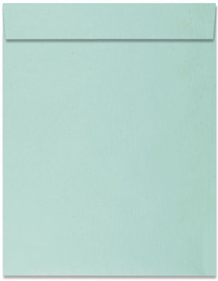 Mehta Envelope Mfg Co Polynet Envelopes, Size : 10 x 8 inches Envelopes(Pack of 25 Green)