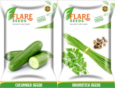 FLARE SEEDS Cucumber and Drumstick Seeds Combo Seed(50 per packet)