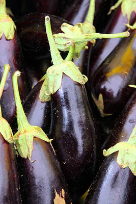 Platone Egg Brinjal Seed(35 per packet)