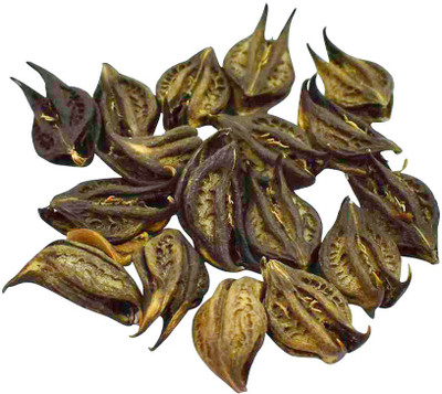 Cosmic Energy Bat Head Root/Evil Pod/Devil Pod Seed(11 per packet)