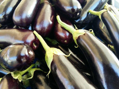 Corofitam Egg Brinjal Seed(35 per packet)