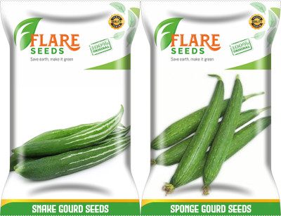 FLARE SEEDS SNAKE GOURD AND SPONGE GOURD Seed(50 per packet)